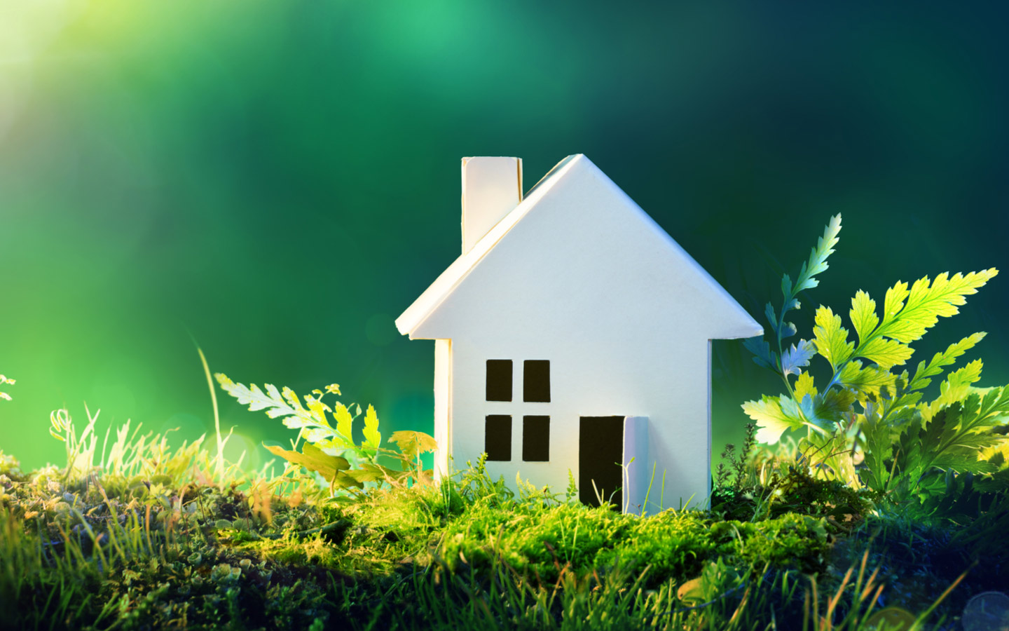 Comment le logement ⚠️ affecte-t-il la santé humaine, l'écologie et la santé humaine