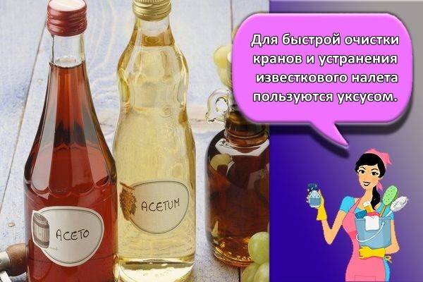 Un nettoyant pour robinet de plaque, qui se trouve dans n'importe quelle salle de bain