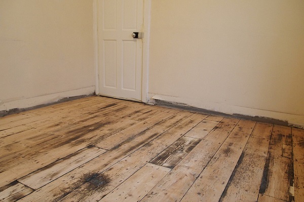 Comment éliminer la moisissure des surfaces en bois : un aperçu des méthodes les plus efficaces