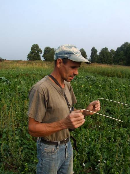Comment trouver de l'eau pour un puits - 6 méthodes de recherche efficaces