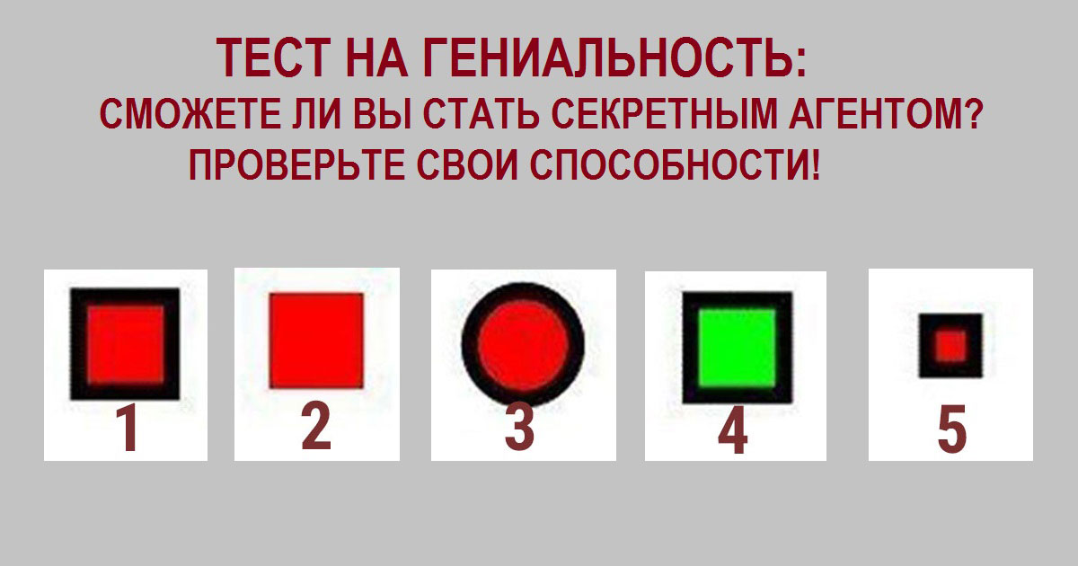 Quels traits distinguent les génies des autres personnes - 7 signes que vous avez une personne inhabituelle devant vous | étudier à l'étranger + rf smapse | YandexZen
