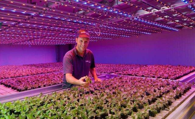 Lampes au sodium: variétés, paramètres techniques, champ d'application + règles de sélection