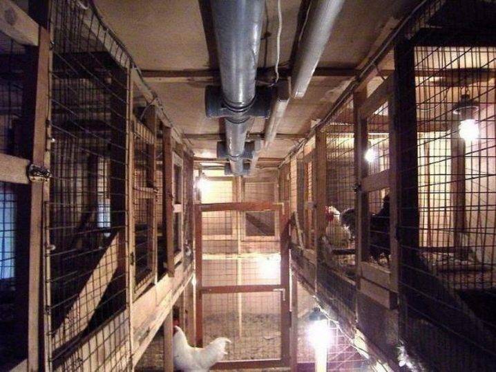 Hotte dans le poulailler: les meilleures façons d'équiper le système de ventilation de la maison