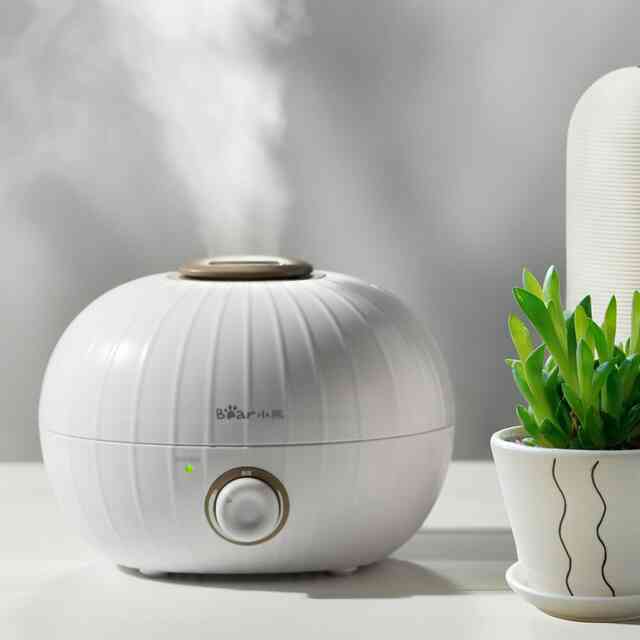 Top 17 des humidificateurs pour un appartement : note de 2019-2020 et lequel choisir en termes de rapport qualité-prix, avis clients