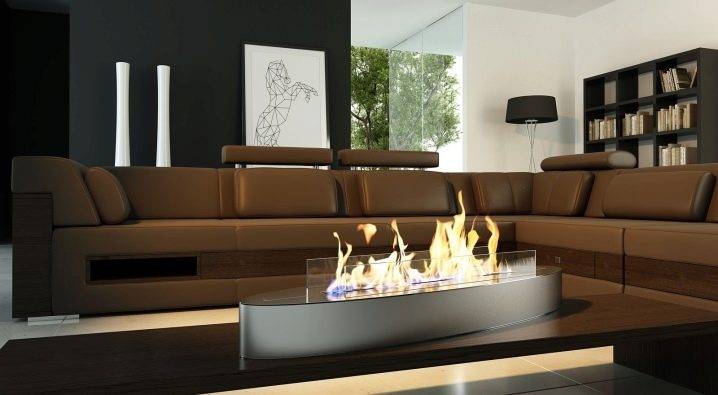 Biocarburant pour une cheminée: types de biocarburant, ses propriétés + comment choisir et comment le faire soi-même