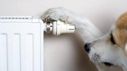 Comment réguler la température du radiateur: un aperçu des appareils thermostatiques modernes