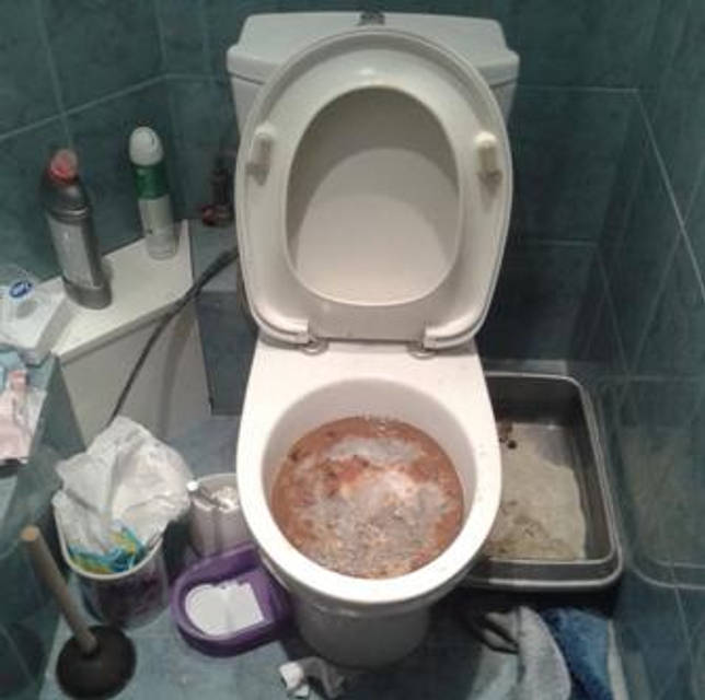 Comment réparer une toilette de vos propres mains: analyse des pannes courantes
