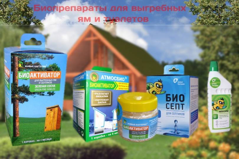 Bactéries vivantes pour le nettoyage des puisards: aperçu des types, principe de fonctionnement et règles d'utilisation