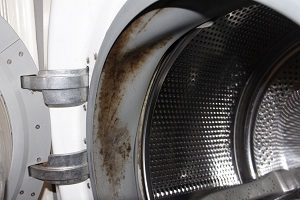 Odeur désagréable dans la machine à laver: causes de l'odeur et comment l'éliminer