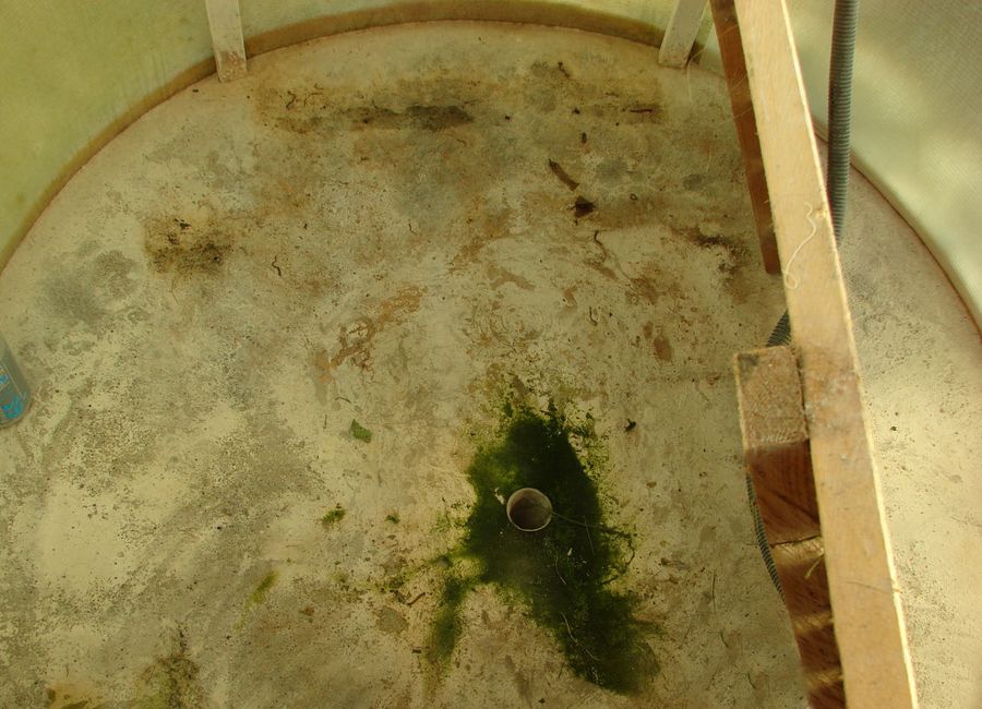 Douche d'été à faire soi-même à la campagne - instructions étape par étape avec photos, dimensions, dessins et vidéos