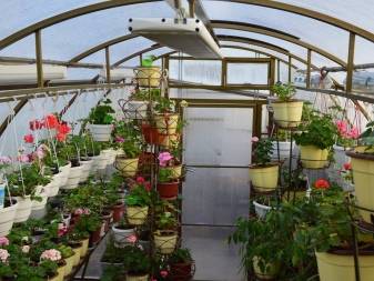 Radiateurs infrarouges avec thermostat pour chalets d'été - conseils d'experts