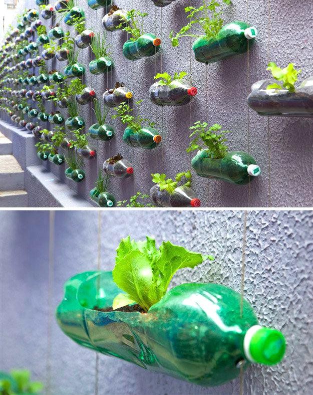 L'utilisation des bouteilles en plastique dans le pays : produits et décorations utiles