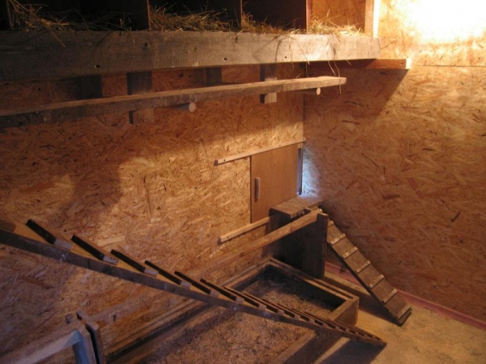 Comment isoler un poulailler: pour l'hiver de vos propres mains, isolation du sol du toit et du plafond