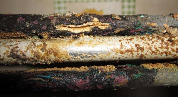 Éléments chauffants avec thermostat pour chauffer l'eau