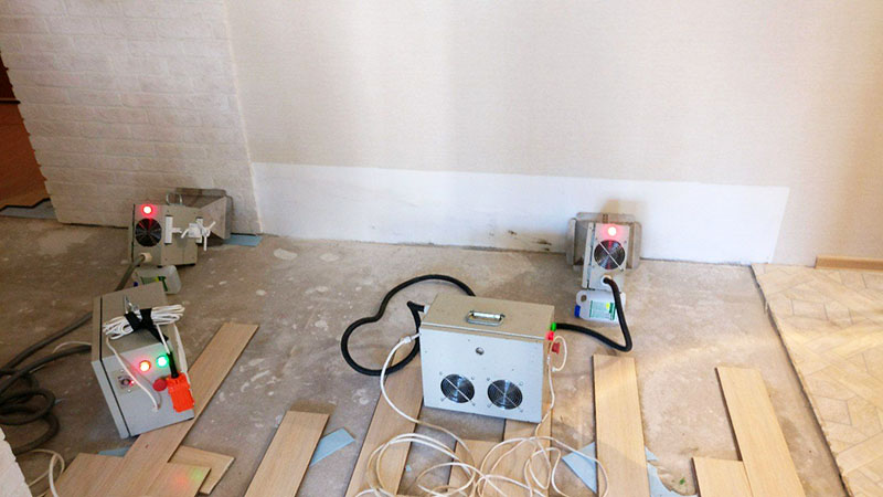 Qu'est-ce que la moisissure noire dangereuse dans la maison pour le corps humain et comment s'en débarrasser