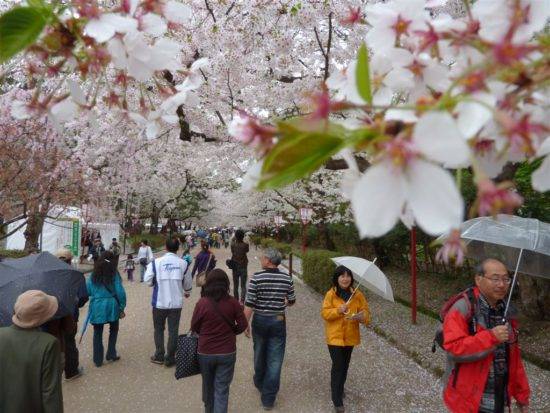 Secrets des jeunes femmes japonaises : pourquoi portent-elles des couches pour adultes ?