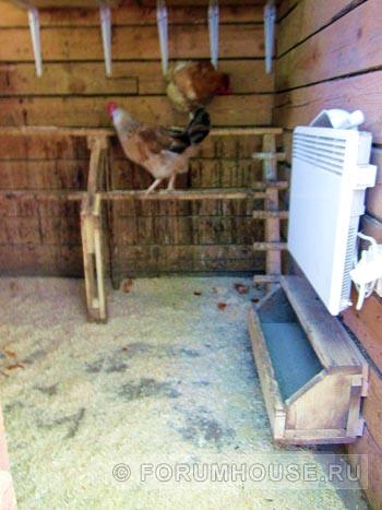 Comment construire et isoler un poulailler