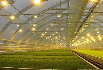 Lampes infrarouges comme moyen de chauffage