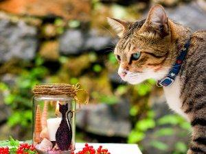 Comment faire une cheminée de vos propres mains