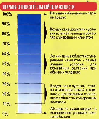 Comment calculer l'humidité sur un hygromètre : manuel de l'instrument + exemple de calcul