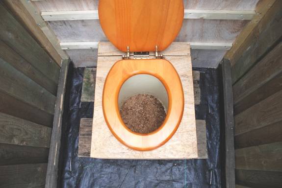 Quel placard sec est le meilleur : liquide ou compost ? Quoi acheter : tourbe ou option chimique