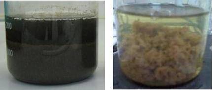 Coagulants pour la purification de l'eau dans la piscine: comment choisir + règles d'utilisation