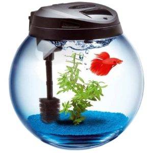 Qu'est-ce qui peut et ne peut pas être lavé au lave-vaisselle: caractéristiques du lavage de la vaisselle à partir de différents matériaux