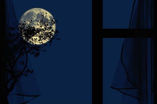 Au lieu d'une serpillière - ce qui ne peut pas être lavé