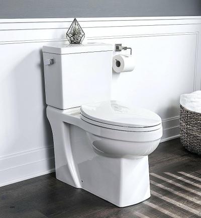 Qu'est-ce qu'un anti-éclaboussures dans les toilettes et pourquoi est-il nécessaire