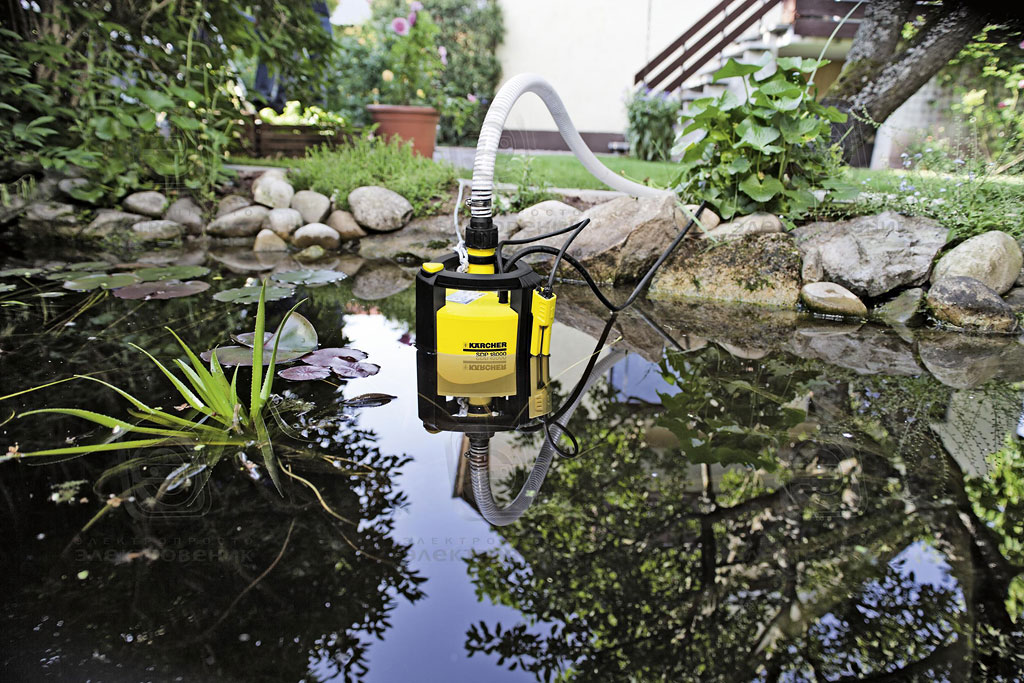 Quelle pompe choisir pour arroser le jardin : types et types de pompes