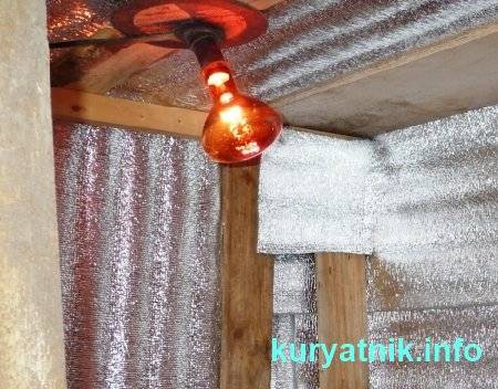 Comment isoler le sol du poulailler pour l'hiver