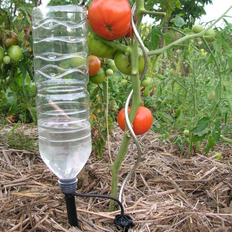 Tuyau pour irrigation goutte à goutte: sur quoi se concentrer lors du choix + règles pour travailler avec