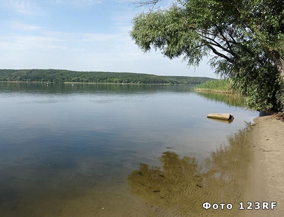 96 000 000 de ballons noirs dans le réservoir de Los Angeles : pourquoi sont-ils là ?