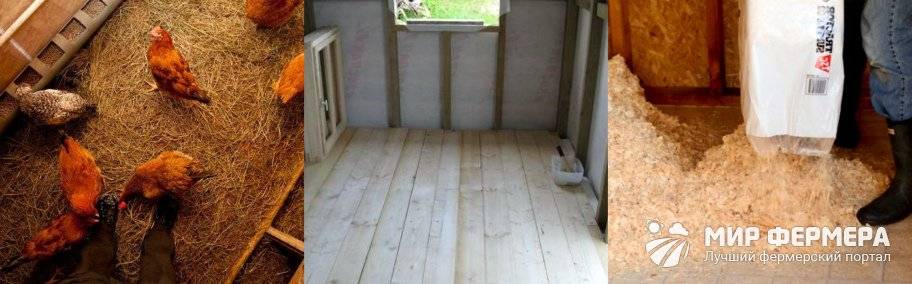 Isolation du poulailler: quelle est la meilleure isolation à utiliser, comment isoler la maison pour l'hiver de vos propres mains