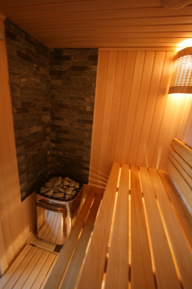 Comment choisir un four électrique pour bains et saunas : types de fours, avantages et inconvénients, fabricants et prix