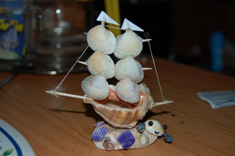 7 façons de décorer votre appartement avec des coquillages