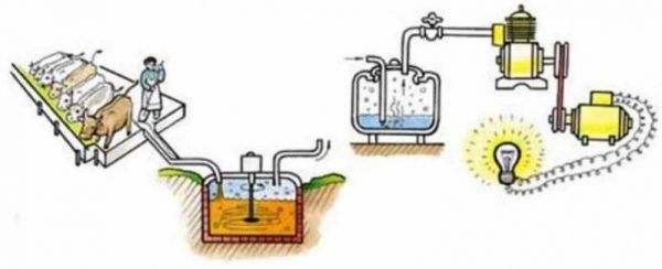 Usine de méthanisation DIY : schémas, projets, 130 photos et vidéos description du principe de fonctionnement