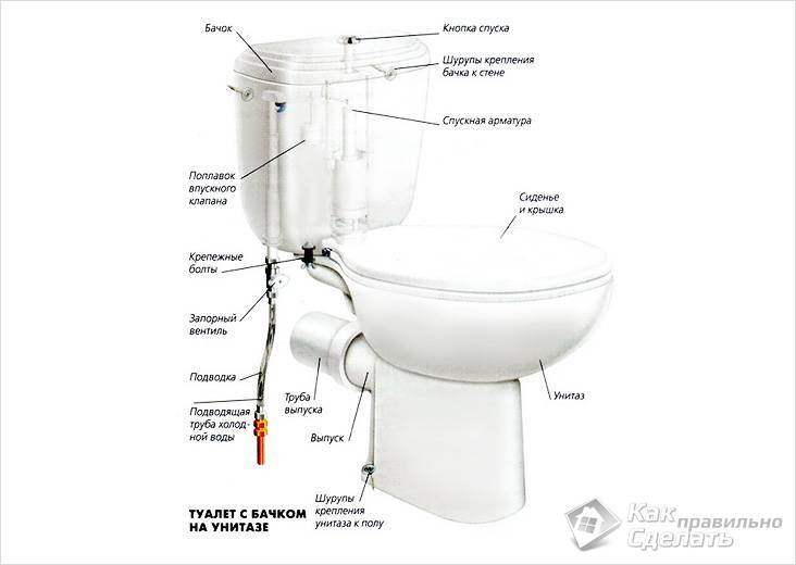Caractéristiques de l'installation d'un drain de toilette perpendiculaire au plan de la colonne montante d'égout