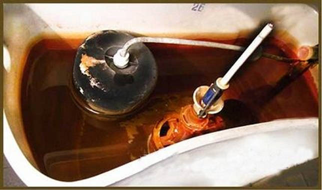 Dispositif de chasse d'eau : comment fonctionne la structure du drain et en quoi consiste-t-elle ?