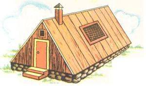 Ventilation à faire soi-même dans un poulailler en hiver: les meilleurs schémas et subtilités d'aménagement