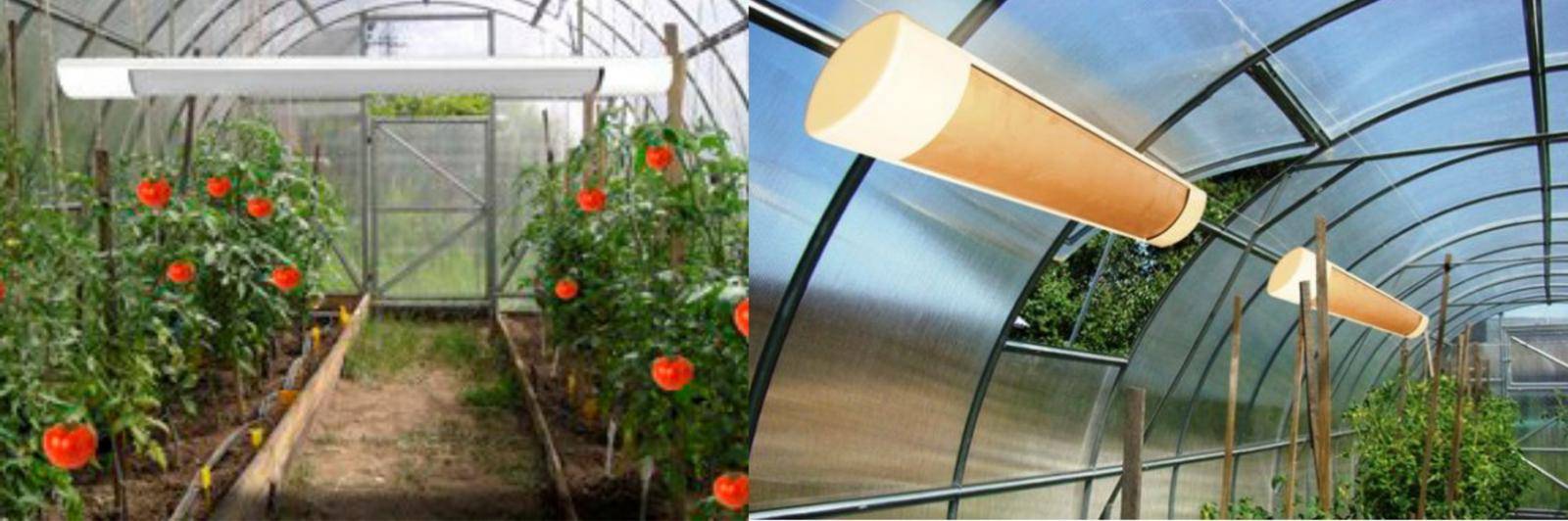 Radiateurs infrarouges pour serre en polycarbonate: chauffage au plafond, chauffage et révisions, lampes à gaz