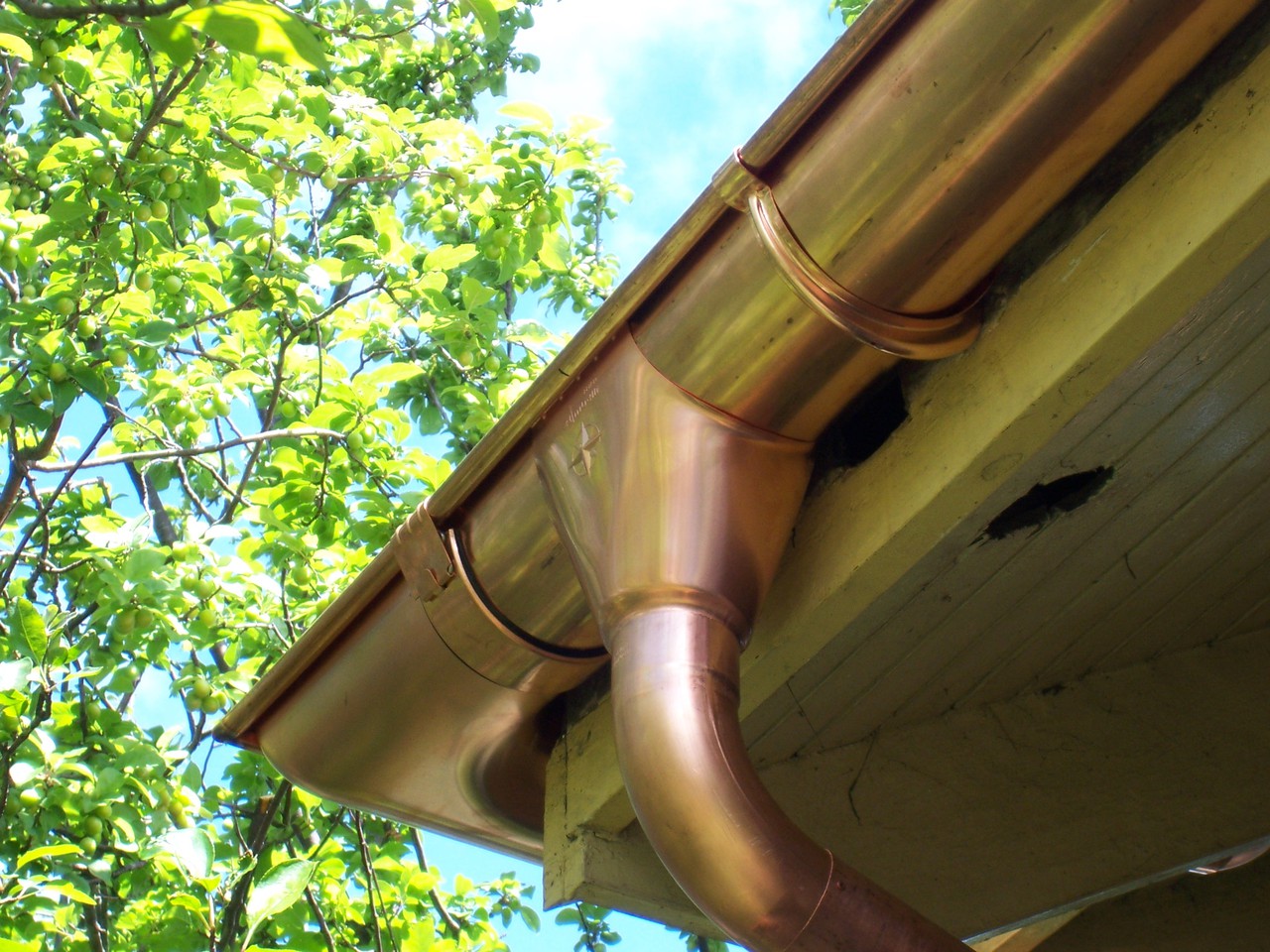 Quel drain est le meilleur en plastique ou en métal: choisissez la bonne option