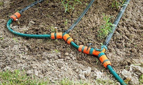 Tuyau pour irrigation goutte à goutte: sur quoi se concentrer lors du choix + règles pour travailler avec