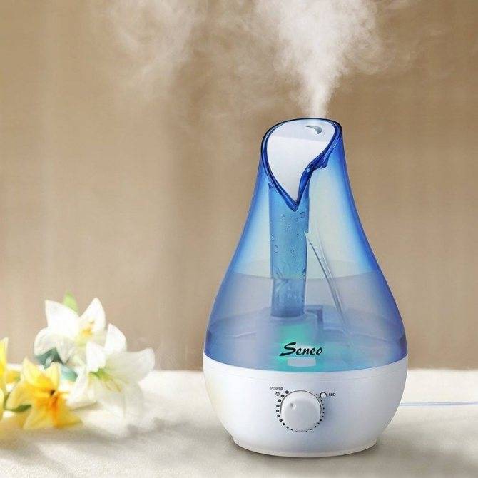 Pourquoi avez-vous besoin d'un humidificateur à la maison: les fonctions et le but de l'appareil pour humidifier l'air