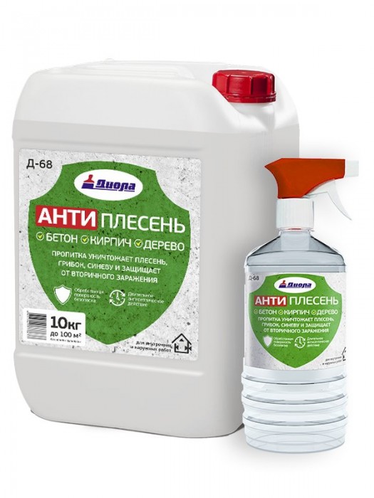 Les meilleurs remèdes contre les champignons et les moisissures sur les murs