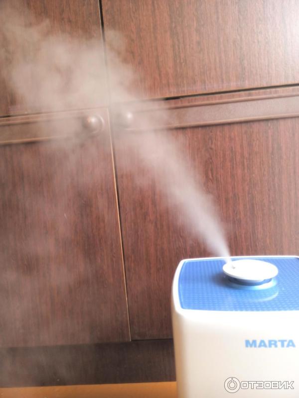 Comment utiliser correctement un humidificateur: instructions, types et principe de fonctionnement