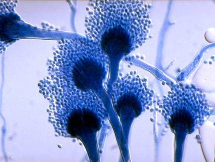 Raccordement d'un ventilateur d'extraction dans la salle de bain et les toilettes : analyse des schémas et conseils d'installation des équipements