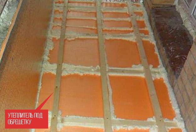 Comment isoler un poulailler pour l'hiver de vos propres mains