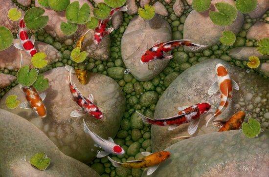 Comment créer un étang de vos propres mains: instructions pour créer et entretenir un étang sur un terrain personnel