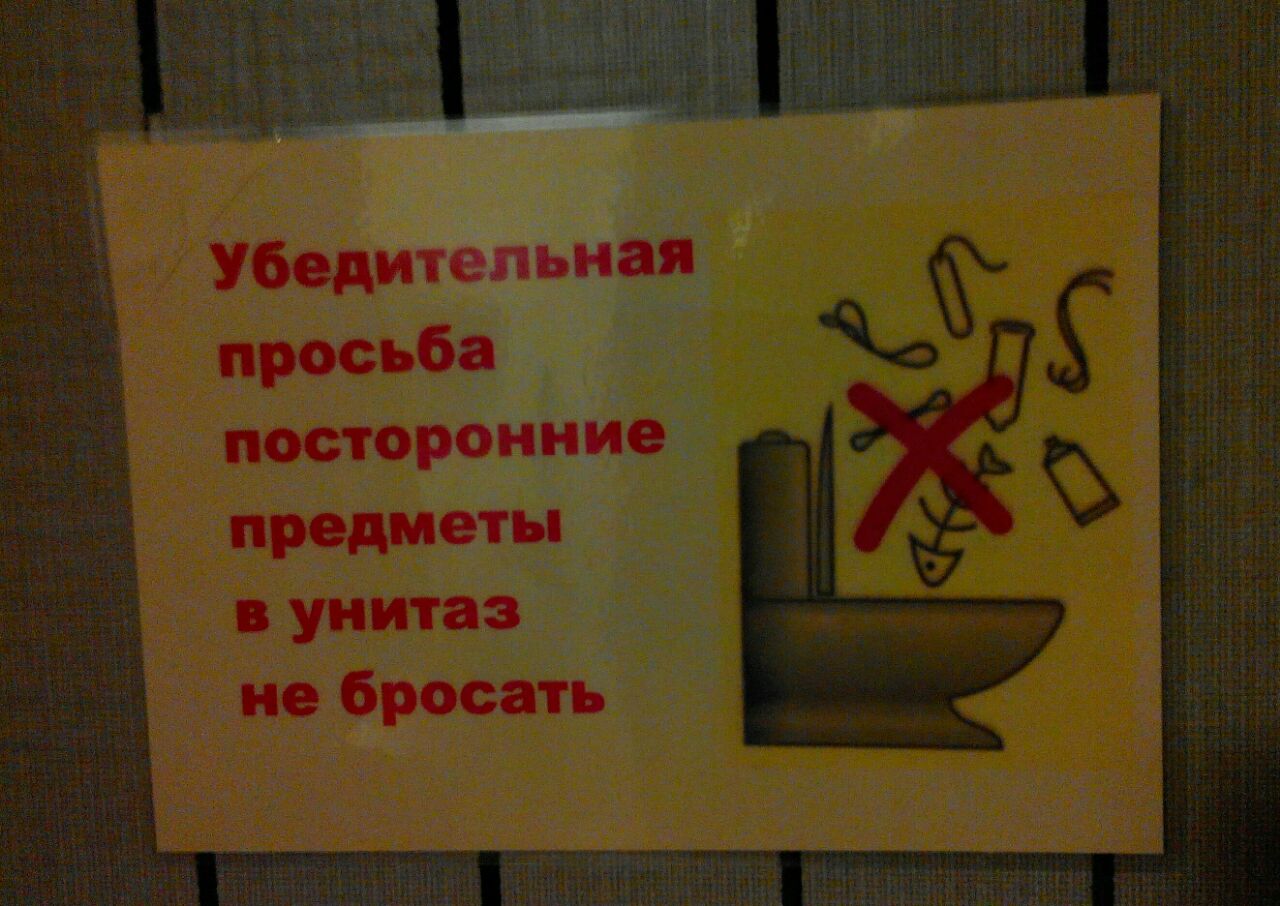 12 objets qu'il est interdit de jeter dans les toilettes | qui? quoi? où?
